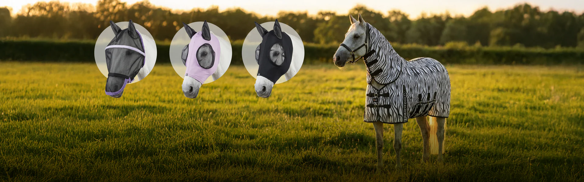 Passione Equestre Senza Confini